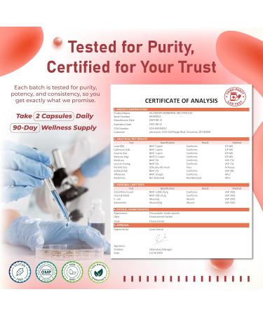 Liposomal Berberine 1790 mg with Cinnamon Gymnema CoQ10 ALA & Ashwagandha Supports Metabolic Harmony & Cardiovascular Wellness 180 Capsules 180 count (pack of 1) - Buy Online on GoSupps.com