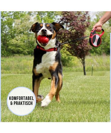 Buy High-Quality 7.5m Cong Roll-Out Dog Leash for Large Dogs up to 50kg | Comfortable Soft Handle & Reflective Belt in Red | Secure Break & Lock System - Buy Online on GoSupps.com