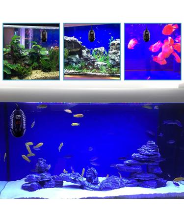 FREESEA 200W/300W Aquarium Fish Tank Heater - Submersible Betta Heater with Adjustable Temperature Display for Saltwater & Freshwater Tanks - Buy Online on GoSupps.com