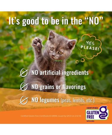 Vital Essentials Freeze Dried Minnow Cat Treats - Premium Quality and Delicious Flavor for Your Feline Friend - Buy Online on GoSupps.com