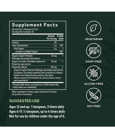 Gaia Herbs Bronchial Wellness Syrup 5.4 fl oz - Natural Respiratory Support - Buy Online on GoSupps.com