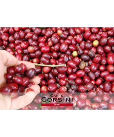  CAFF CORSINI 1950 Caff Corsini 100 Compatible Capsules Lavazza a Modo Mio Classic Italian 750 g - Buy Online on GoSupps.com