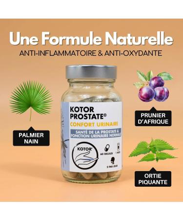 KOTOR PROSTATE | Urinary Disorders BPH Frequent Urge to Urinate | Natural & French Complex | Stinging Nettle + Dwarf Palm + African Plum | 60 Capsules | 1 Month - Buy Online on GoSupps.com