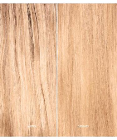 Abril et Nature Final Touch Nature Plex Leave-In Conditioner - 100ml Vegan Hair Treatment with Stem Cells for Stressed Hair - International Shipping Available - Buy Online on GoSupps.com