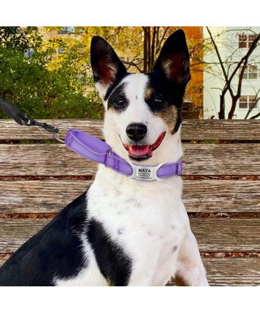 Tagme 2 Pack Personalized Dog ID Tags - Engraved for Small & Medium Breeds | Best Quality Dog Brand - White - Buy Online on GoSupps.com