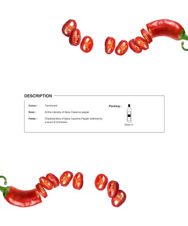 Routin 1883 Premium Spicy Cayenne Pepper Syrup (Glass Bottle) 1L - Buy Online on GoSupps.com