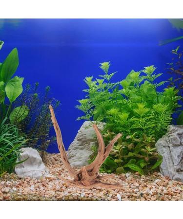 POPETPOP Aquarium Driftwood Branches- 3pcs Aquarium Driftwood for Reptiles Freshwater Terrarium Decor Reptile Tank Accessories Spiderwood for Aquarium - Buy Online on GoSupps.com