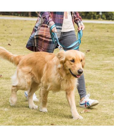Dazzber Martingale Collars for Dogs - Durable Turquoise Green No Pulling Fits 27.9-38.1 cm Neck Perfect for Small to Medium Dogs - 5/8 Inch Wide - Buy Online on GoSupps.com