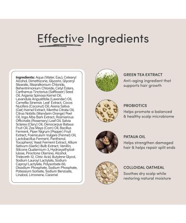 Jupiter Scalp Balancing Conditioner - Physician-Formulated Sulfate-Free Vegan & Color Safe for Dry Itchy Oily Scalps - Natural Fragrance Paraben Free Ideal for Men & Women - Buy Online on GoSupps.com