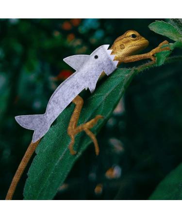 Balacoo 2pcs Lizard Shark Outfit Felt Equipment Keep Warm - Buy Online on GoSupps.com