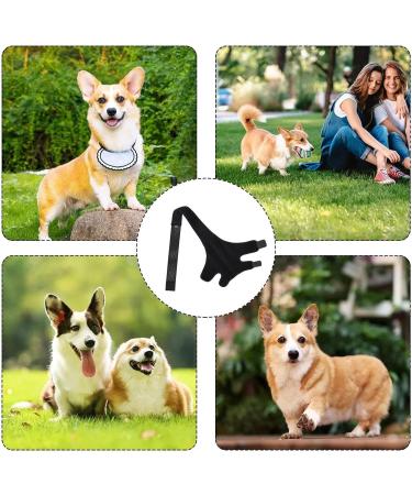 Siopob Dog Leg Brace | Dog Elbow Brace Knee Immobilizer - Leg Braces for Dogs Pet Knee Brace He-lp Dog Keep The Joint Stable Preve-nt Injuries - Buy Online on GoSupps.com