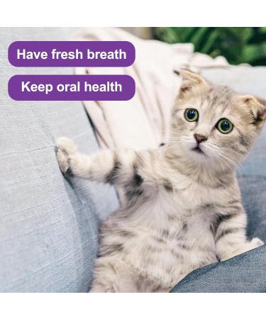 Double-Sided Cat Toothbrushes - 2 Pack Kitten Dental Care Brush with Microbe Head & Curved Handle - Purple & Orange - Buy Online on GoSupps.com