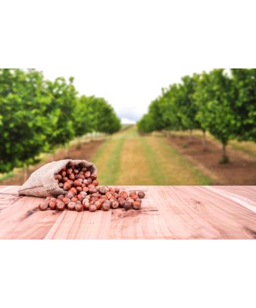 Buy Mundo Feliz Raw Hazelnuts - Organic Farming 2 x 500g | International Shipping Available - Buy Online on GoSupps.com