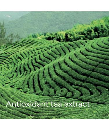 Doliderm Paris - Creamy Shower Gel 33.8 Fl Oz (Jasmine White Tea) - Buy Online on GoSupps.com