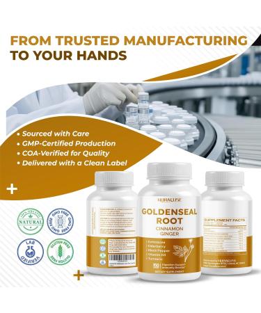 Goldenseal Root 8-in-1 Formula - with Cinnamon Ginger Echinacea Elderberry Black Pepper Vitamin D3 - Non-GMO Gluten-Free Soy-Free 150 count (pack of 1) - Buy Online on GoSupps.com