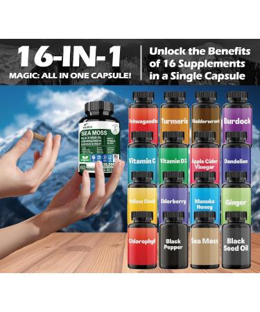 16-in-1 Organic Sea Moss Gel Alternative Capsules Superfood Blend with Ashwagandha, Black Seed Oil, Turmeric, Bladderwrack, Burdock, Elderberry, Manuka, Dandelion, Yellow Dock, Vitamin C & D3 - Buy Online on GoSupps.com