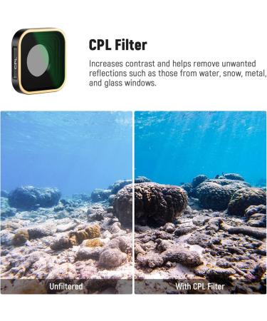 NEEWER 6 Pack ND Filter Set for GoPro Hero 11/10/9 - CPL/ND8/ND16/ND32/ND64/ND1000 - Action Camera Accessory Kit (Golden Frame) - Buy Online on GoSupps.com