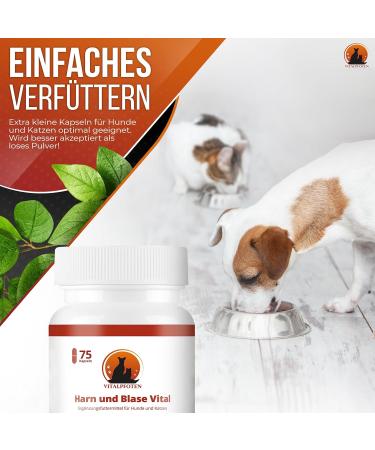 Vital Paws 3x75 Urine & Bladder Capsules for Dogs & Cats | Herbal Home Remedies with Cranberry Mannose & Nettle - Buy Online on GoSupps.com
