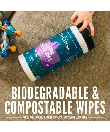 Aunt Fannie's Cleaning Vinegar Wipes - Lavender Scent, 35 Count - Buy Online on GoSupps.com