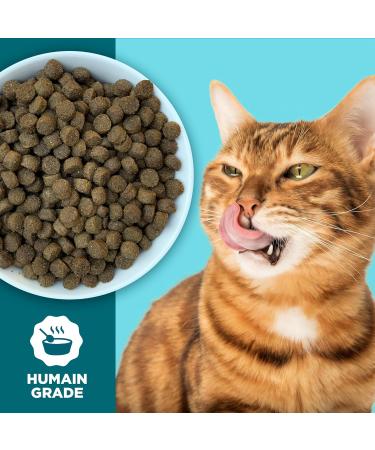 PETMOBILE Supreme Dry Cat Food 2KG/4.4LBS High-Protein Chicken & Salmon Recipe Taurine Fortified for Heart Health Supports Strong Muscles Boosts Digestive & Immune System Healthy Skin & Coat - Buy Online on GoSupps.com