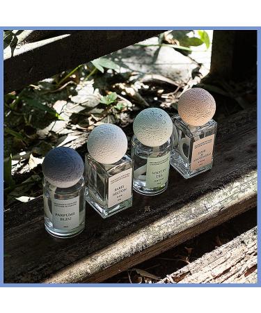 Moon Passive Diffuser | Non-Electric Essential Oil Diffuser | Blue Aroma & Air Freshener for Home Car & Office Decor | KS02008 - Buy Online on GoSupps.com