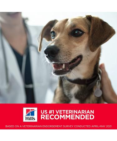 Hill's Science Diet Senior Wet Dog Food Adult 7+ Chicken & Vegetable Stew 12 Pack - Buy Online on GoSupps.com