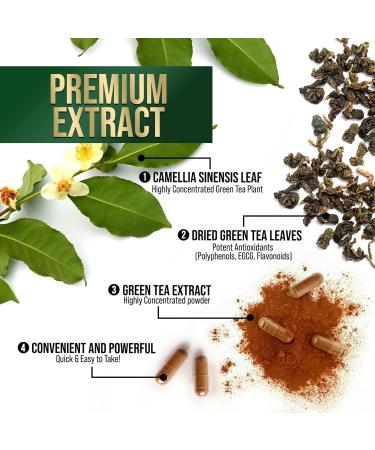 Green Tea Extract Capsules 1000 mg - Standardized 45% EGCG & 98% Polyphenols - 3X Strength Green Tea Pills for Natural Energy - Supports Heart Health Herbal Supplement Vegan Non-GMO - 240 Capsules 240 Count (Pack of 1) - Buy Online on GoSupps.com