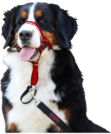 Halti Head Collar Head Halter Collar for Dogs Head Collar to Stop Pulling for Small Medium and Large Dogs Red Size 4 - Buy Online on GoSupps.com
