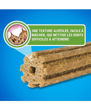 DENTALIFE Maxi Multipack for Large Dogs 72 Chew Snacks (2 x 1272g) Everyday Oral Hygiene - 1.27kg - Buy Online on GoSupps.com