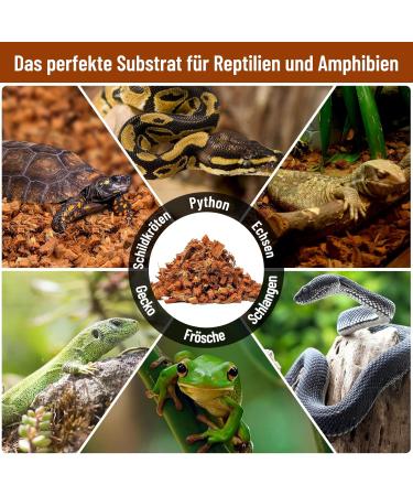 Riare 2 Pack Natural Coconut Earth Substrate for Reptiles - Humus Litter for Turtles Snakes Scorpions & Spiders - 2 x 650g - Buy Online on GoSupps.com