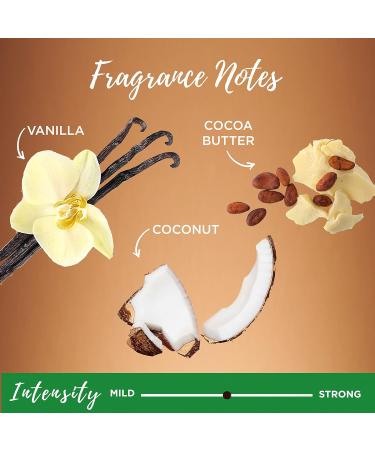 Garnier Whole Blends Coconut Oil & Cocoa Butter Smoothing Leave-In Conditioner 5.1 Fl Oz - Frizz Control | Packaging May Vary - Buy Online on GoSupps.com