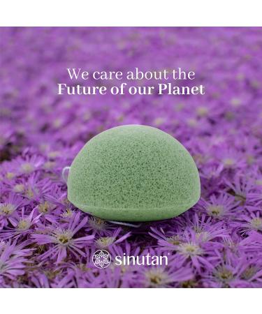 SINUTAN Konjac Face Sponge 100% Natural Green Tea (Set of 4) Konjac Round Sponge for Exfoliation and Deep Pore Cleansing Loofah Mix Color Puff Style - Buy Online on GoSupps.com