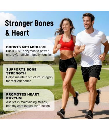 Magnesium Complex Magnesium Glycinate Elemental Magnesium Supplement with Oxide Taurate Citrate Orotate & Aspartate Supports Muscle Relaxation Heart Health Sleep & Energy | Vegan (500mg) Flavor500 500mg - Buy Online on GoSupps.com
