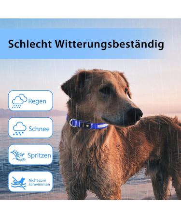 LED Luminous Dog Collar - Waterproof 7 Color Change Adjustable Light for Night Safety - Fits Small Medium Large Dogs (Blue 48-60cm) - Buy Online on GoSupps.com