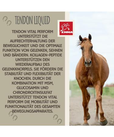 Buy Emma MSM Horse Joint Liquid 1L - High-Dose MSM Glucosamine & Chondroitin for Healthy Joints & Movement | International Shipping Available - Buy Online on GoSupps.com