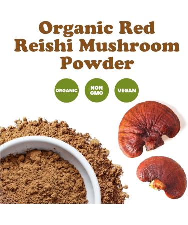 Food to Live Organic Red Reishi Mushroom Powder 12 Ounces All Natural Vegan Superfood for Immunity and Holistic Wellness. Rich in Antioxidants & Nutrients. Non-GMO. 100% Pure. Great for Smoothies. 12 Ounce (Pack of 1) - Buy Online on GoSupps.com