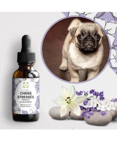 Floral Elixir Blend for Stressed Dogs - Quickly Comfort Your Dog. This Blend is a Natural Anti-Stress for His Daily Life (30ML) Pack of 2