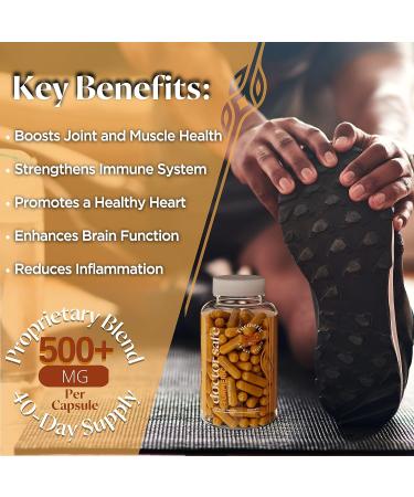 Turmeric Curcumin 1500mg with BioPerine - 120 Vegan Capsules for Joint Support - Gluten Free & Non-GMO with 95% Curcuminoids - High Potency & Absorption - Buy Online on GoSupps.com