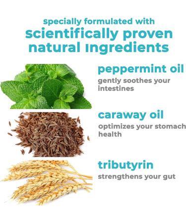 IBHALT Digestive Support Supplement - Peppermint Oil, Caraway Oil & Tributyrin - Buy Online on GoSupps.com