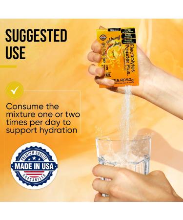 PowerVitamin Electrolytes Powder Packets - Tangerine Pineapple - Keto Electrolytes for Daily Energy - Hydration Powder with 1000mg Potassium, 120mg Magnesium, Zero Calories - 30 Hydration Packets Tangerine Pineapple 7.5 Oun  - Buy Online on GoSupps.com