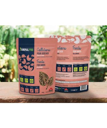 AnimalPro Mealworms 454 g (1 LB) Approx 17 000 Mealworms - Buy Online on GoSupps.com