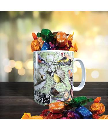 British Garden Birds Personalised Mug with Choice of Sweets Gift - Buy Online on GoSupps.com
