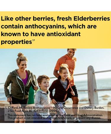 Nature Made Elderberry with Vitamin C and Zinc Gummies - Immune Support Supplement, 100 Count - Buy Online on GoSupps.com