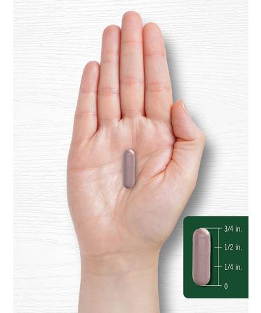 Bilberry Extract Capsules | 2400mg | 200 Count | Vegetarian Non-GMO Gluten Free Supplement by Carlyle - Buy Online on GoSupps.com