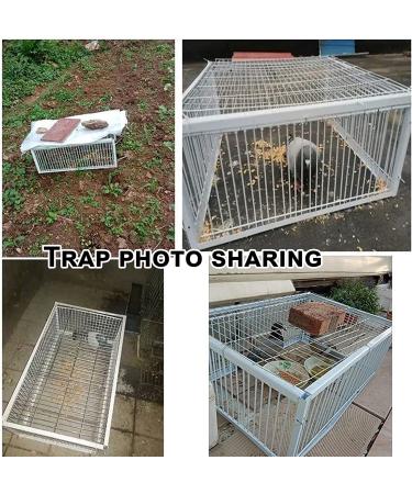 Pigeon Loft Entrance Door for Racing Supplies | 30cm/12in Pigeon House Trap Door - Buy Online on GoSupps.com