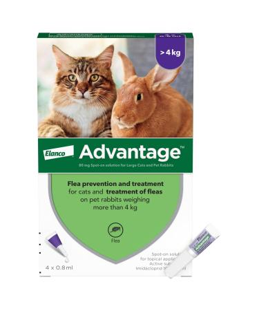 Advantage Flea Treatment 80 for Large Cats and Rabbits 4x Pipette For Pets Weighing More than 4kg Spot-on Treatment to Kill and Prevent Fleas on Large Cats and Treat Fleas on Pet Rabbits Cats Rabbits 4kg+ - Buy Online on GoSupps.com