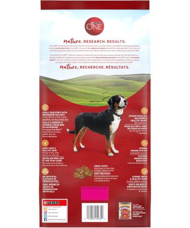 Purina ONE Dry Dog Food Chicken & Rice - 1.81 kg Bag 1.81 kg (Pack of 1) Dry Dog Food - Buy Online on GoSupps.com