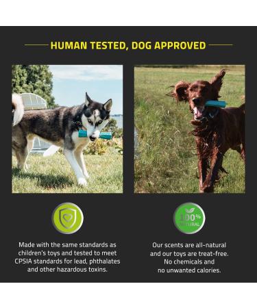 Playology Dental Stick - Natural Fragrance & Peanut Butter - Size L (15.9 kg+) - Best for Large Dogs - International Shipping Available - Buy Online on GoSupps.com