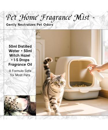 HIQILI 100ML Helichrysum Essential Oil & 30ML Forbidden Bloom Fragrance Oil for DIY Diffuser - Buy Online on GoSupps.com