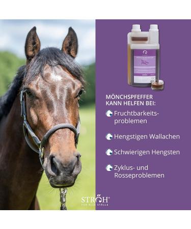 STR H Monks Pepper for Horses - 1L Hormone Balance Liquid for Mares Stallions & Geldings | Herbal Equine Supplement - Buy Online on GoSupps.com